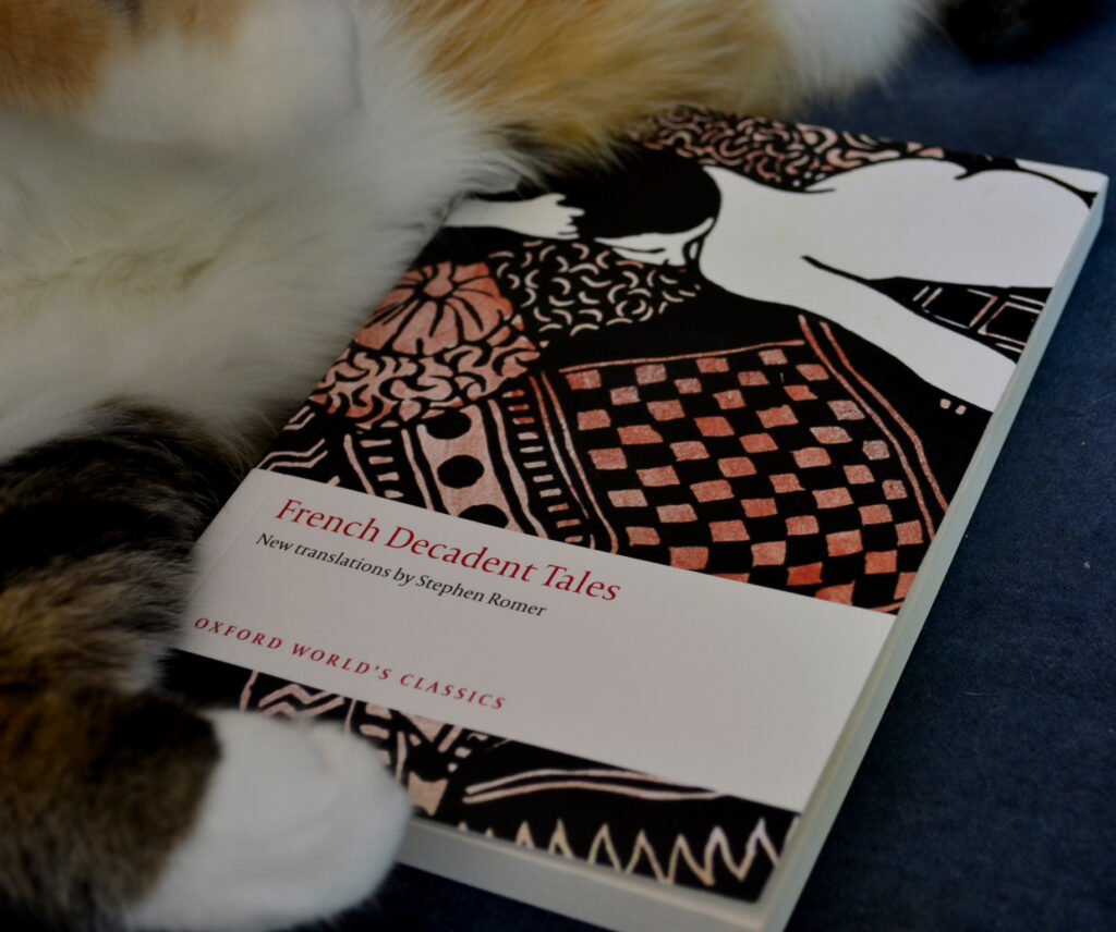 A book is against the furry belly of a cat. The book features an image of a nake person lying face down on pillows and blankets.