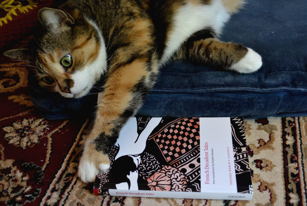 A calico cat rests a single paw on French Decadent Tales and looks off into the distance.