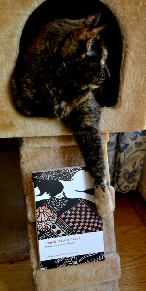 A tortie cat sits in an elevated box, one paw reaching down towards a book as it looks out a window.