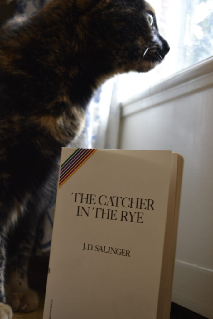 A copy of Salinger's The Catcher in the Rye stands next to a window and a tortoiseshell cat.