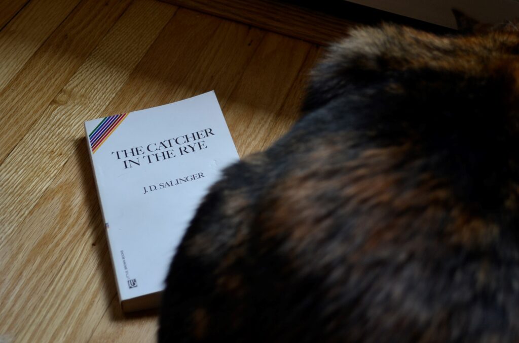 Behind the haunches of a tortoiseshell cat, the white cover of The Catcher in the Rye is visible.