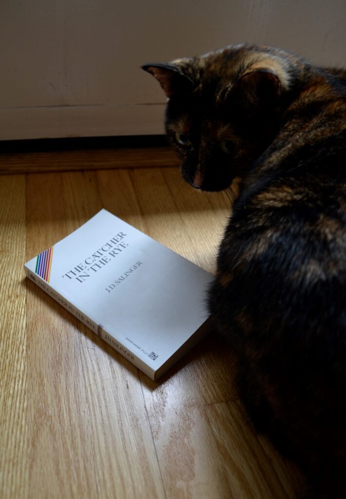 Crouching over a copy of The Catcher in the Rye, a tortoiseshell cat looks over her shoulder at the camera.
