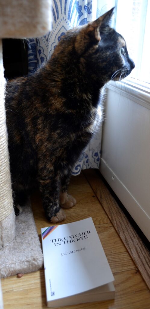 A tortoiseshell cat sits beside a copy of The Catcher in the Rye.