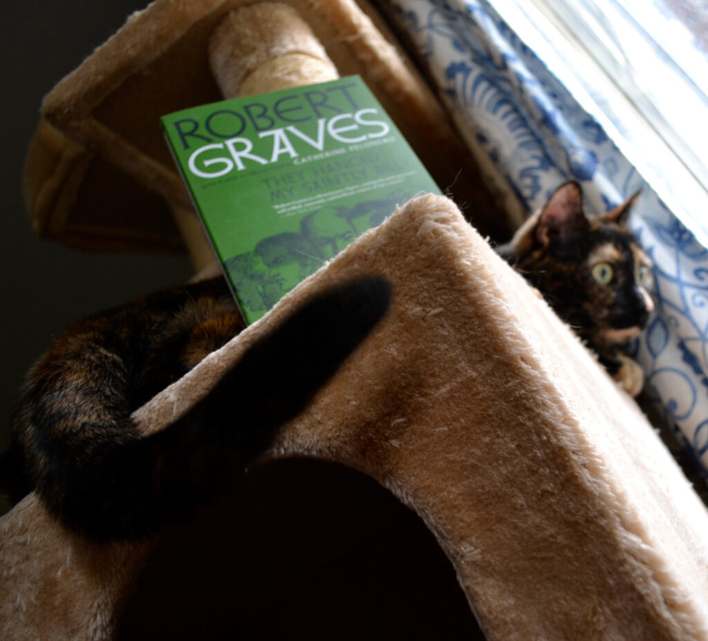 Seen from below, a cat curls its tail around a green book.