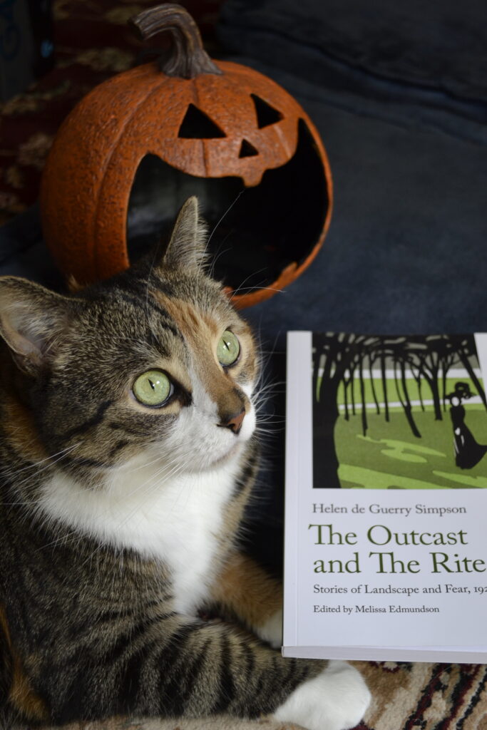 A cat sits beside a widely smiling jack-o-lantern and a book.