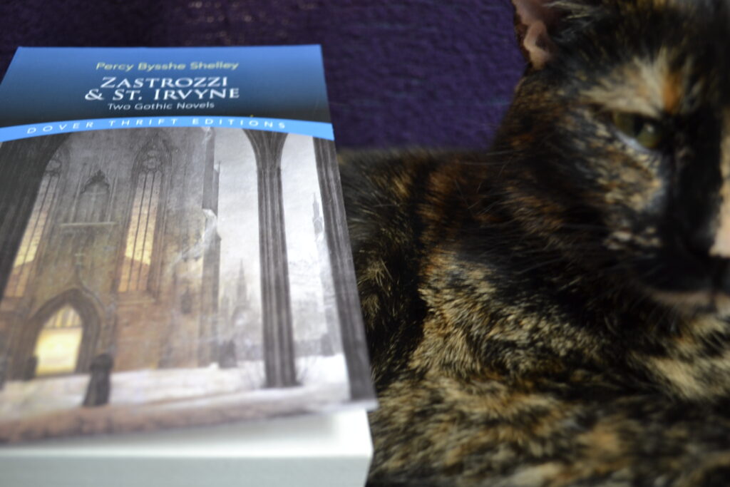 A tortoiseshell cat crankily glares out at the camera. Beside her is a book titled Zastrozzi & St Irvyne.