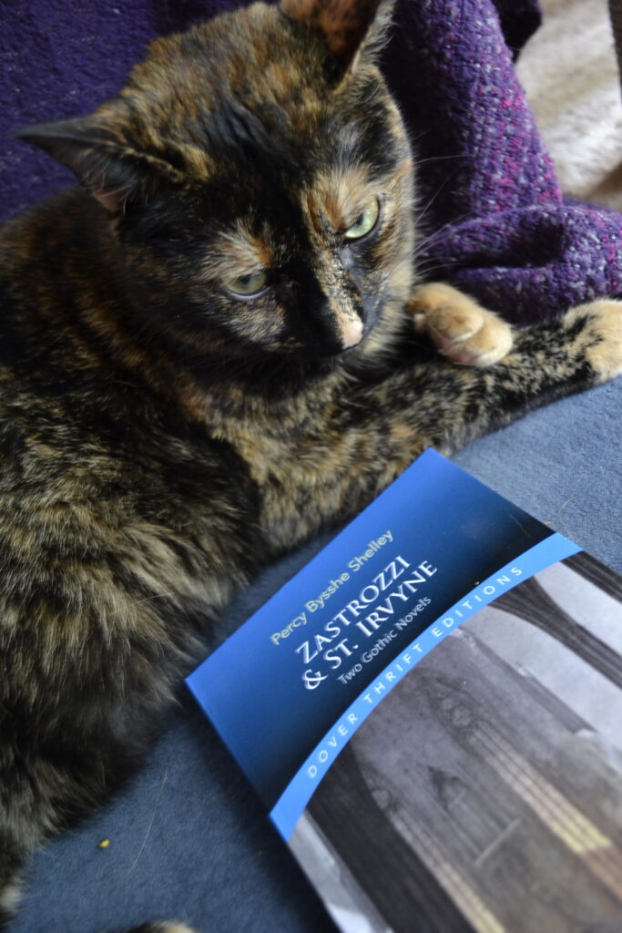 A cat glares at the camera with its ears back beside a blue book.