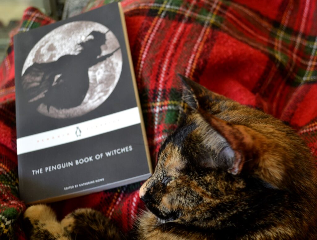 A cat sleeps beside a book whose cover features a witch flying past the moon.
