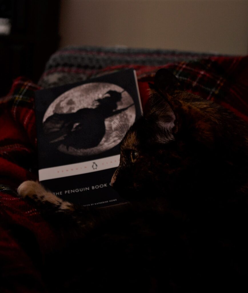 A book with a silhouette of a witch flying past the moon is visible in a dark room with a cat.