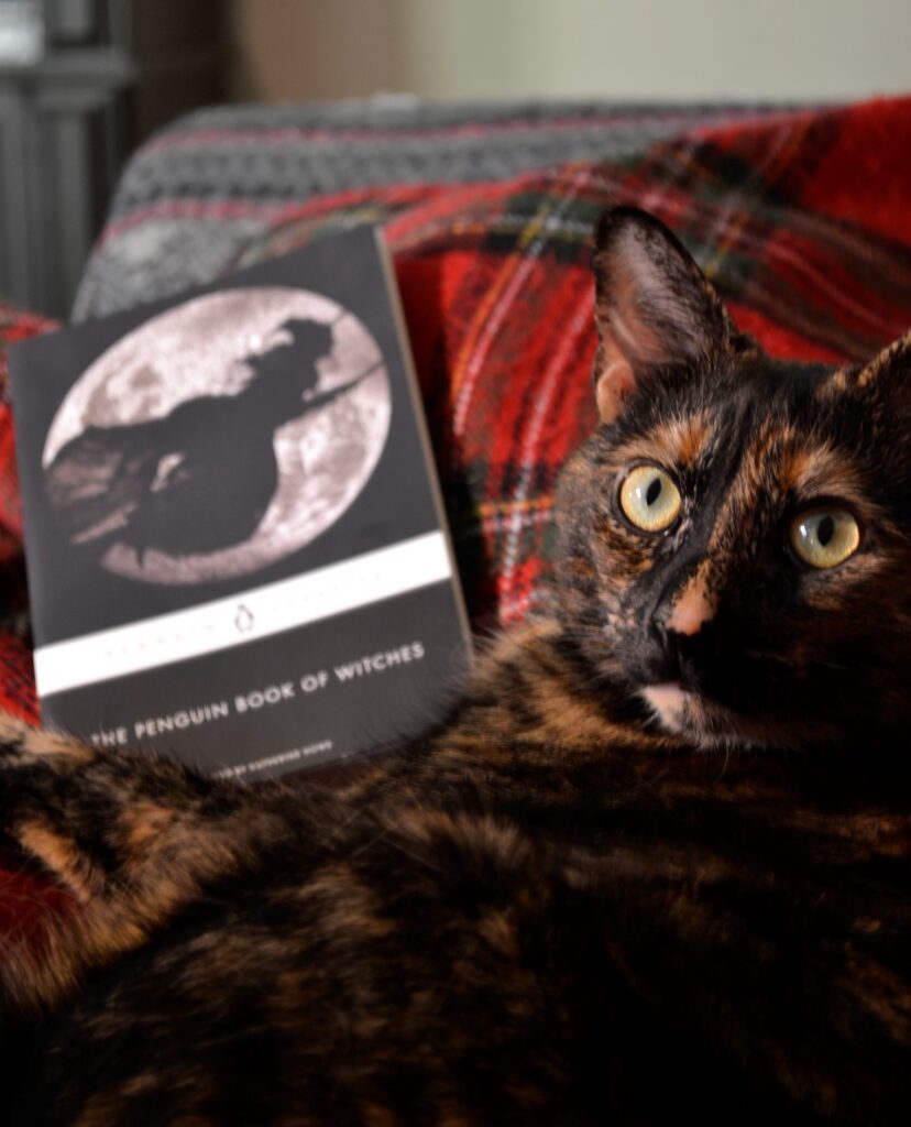 A tortoiseshell cat stares into the camera beside a book.
