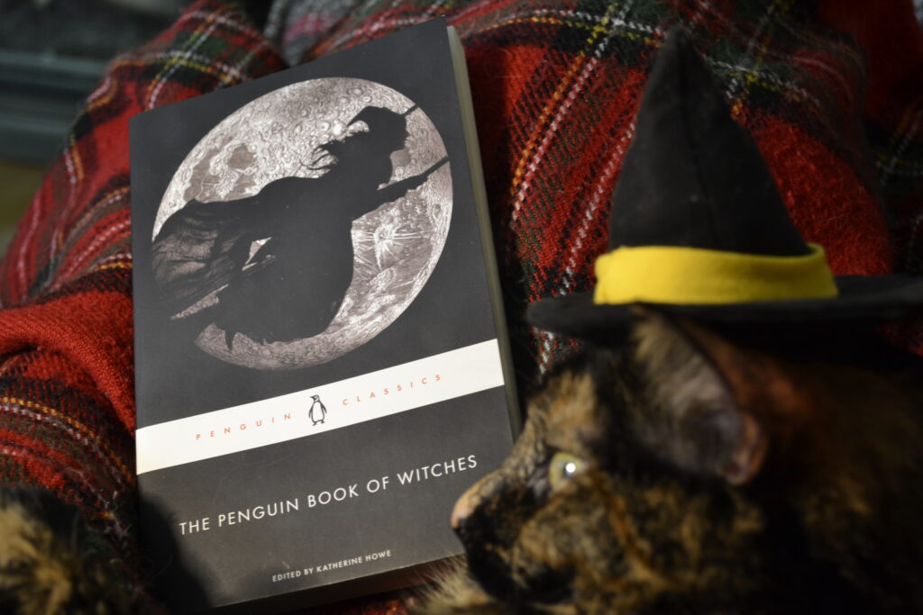 A tortoiseshell cat in a witch hat glares at The Penguin Book of Witches.