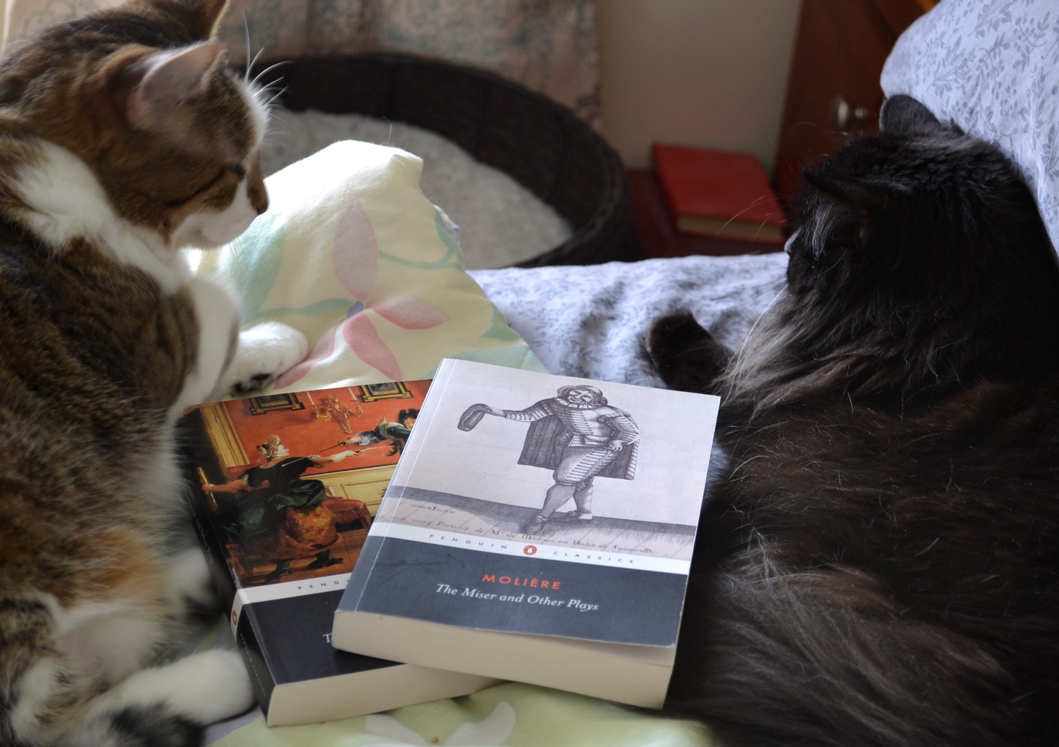 Two cats sit on either side of two volumes of Moliere's plays.