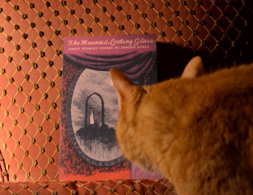 An orange cat sniffs The Haunted Looking Glass.
