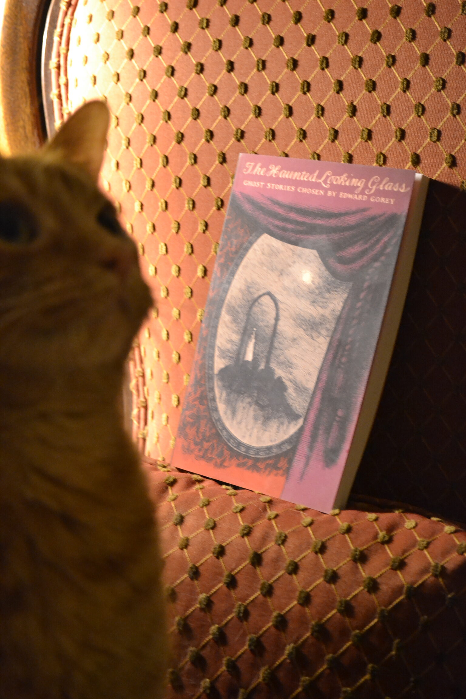 An orange cat sits on a chair beside The Haunted Looking Glass.