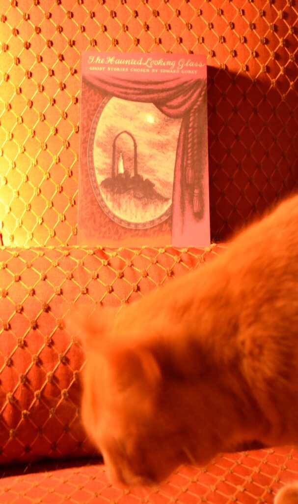 In orange light, an orange cat kneels in front of a copy of The Haunted Looking Glass.