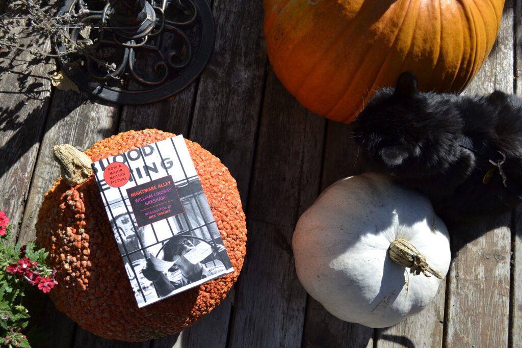 A book rests on a warty pumpkin, and a black cat is sitting nearby.