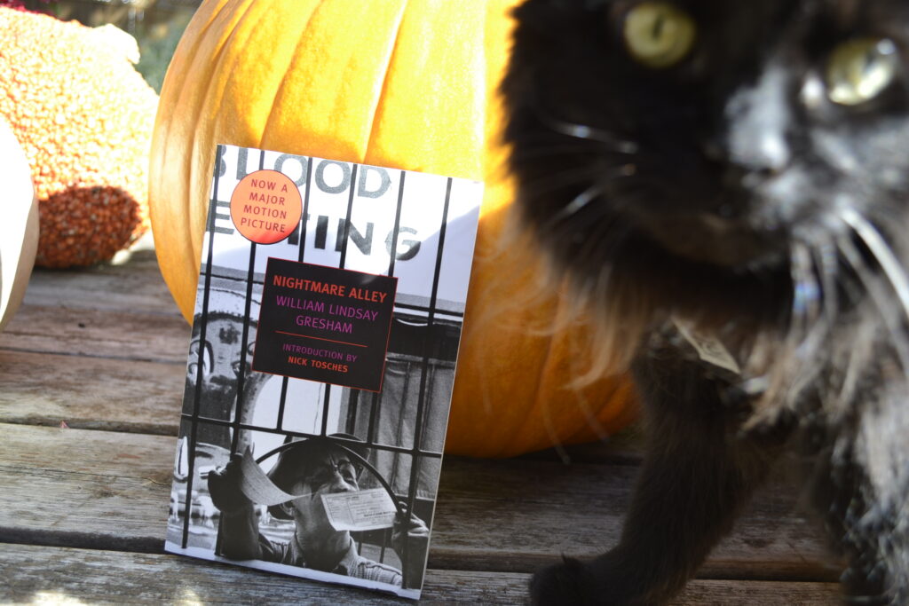 A fluffy black cat stands beside some pumpkins and a copy of Nightmare Alley.
