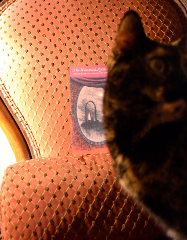 A tortoiseshell cat looks away from a VIctorian armchair.