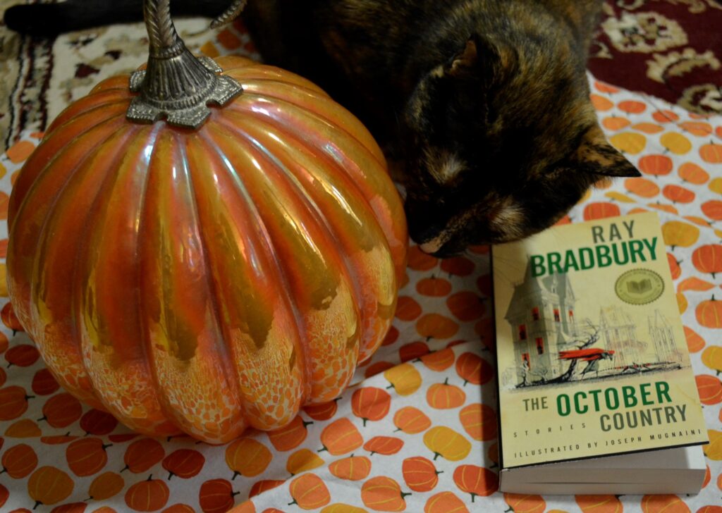 A cat sniffs a glass pumpkin beside a book. The book is Ray Brandbury's The October Country, illustrated b Joseph Mugnaini.