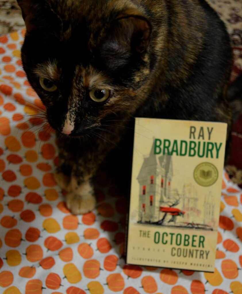 A tortoisehsehll cat sits with its paws together. Against its side lies Ray Bradbury's The October Country.