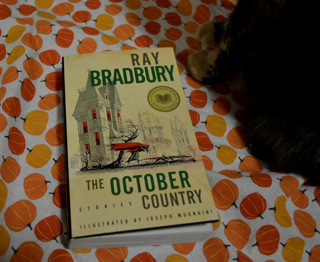 On a background of pumpkins, a tortoiseshell cat sits beside a copy of The October Country.