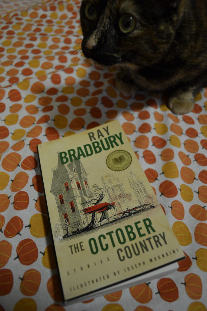 A big-eyed tortoiseshell cat crouches beside a copy of The October Country.
