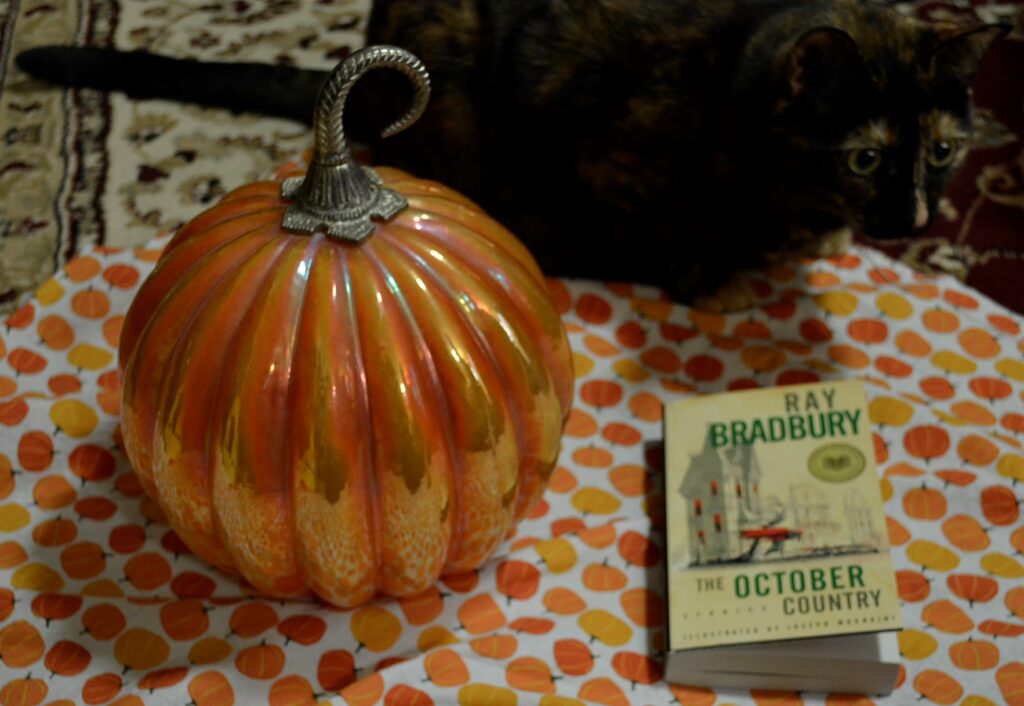 A tortoiseshell cat crouches behind an orange glass pumpkin.