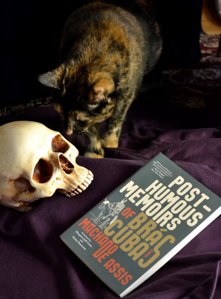 A tortoiseshell cat sniffs a porcelain skull beside a green book.