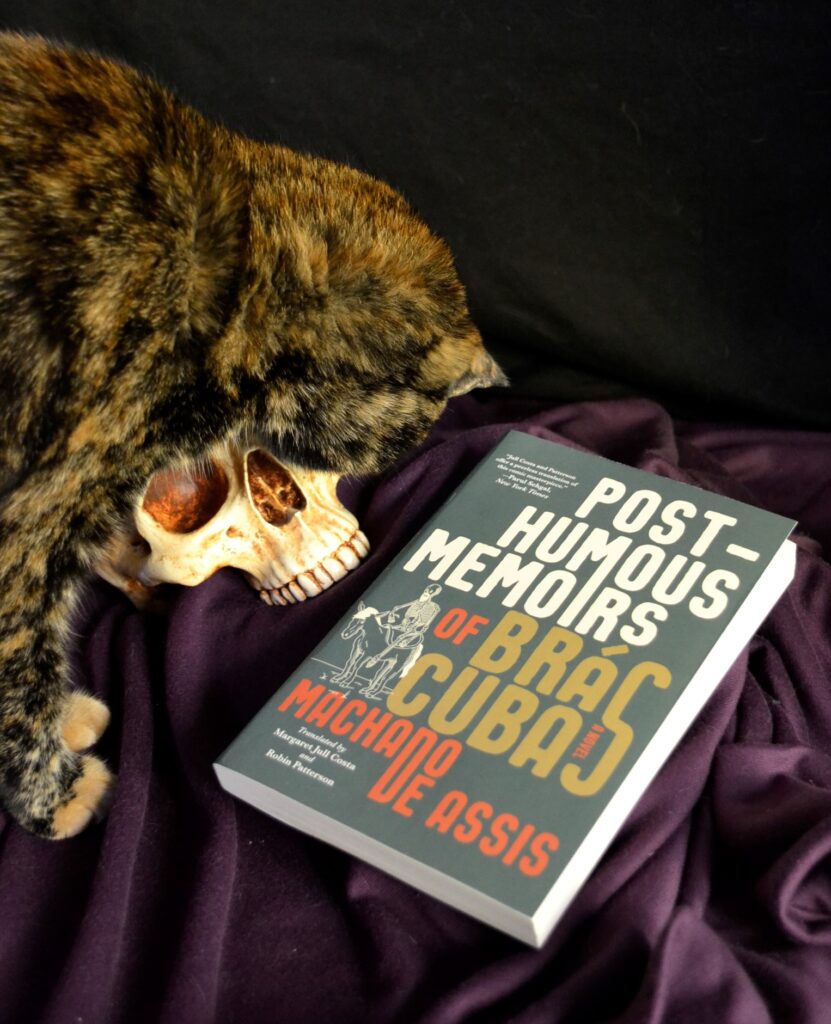 A tortoiseshell cat sniffs a copy of The Post-Humous Memoirs of Bras Cubas.