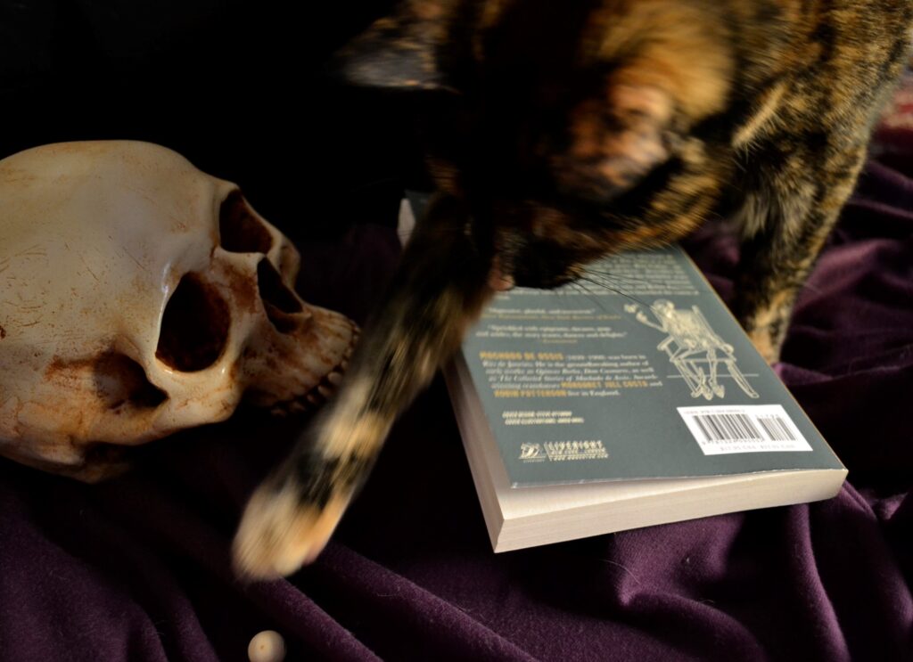 A tortoiseshell cat bats a bead over a book and beside a skull.