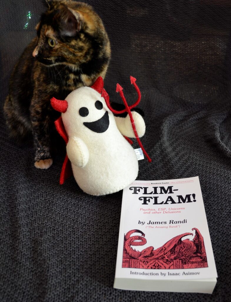A copy of Flim-Flam! lies beside a stuffed ghost and a tortoiseshell cat.