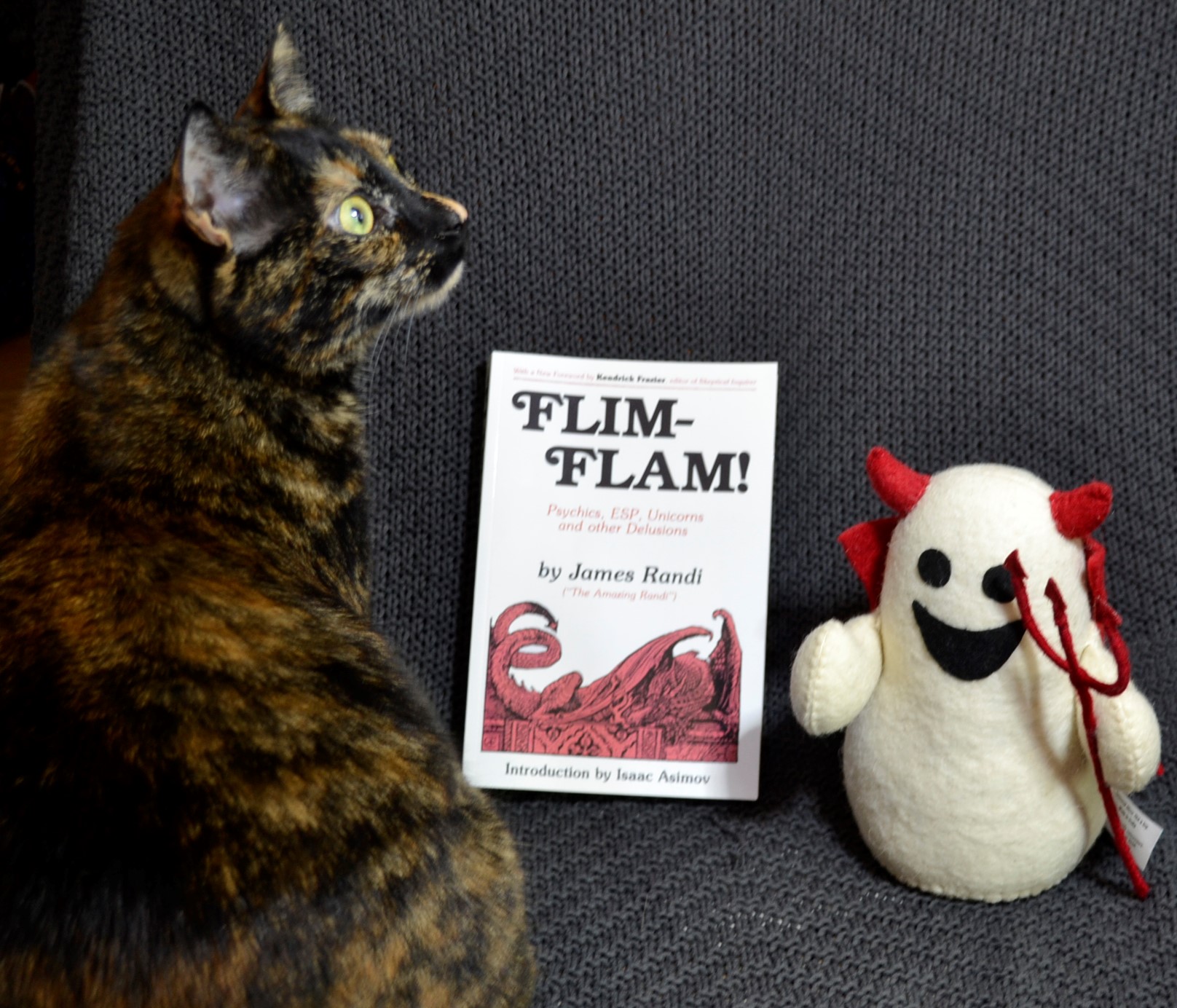 A tortoiseshell cat looks up innocently. Beside her is a stuffed ghost dressed as a devil and a book.