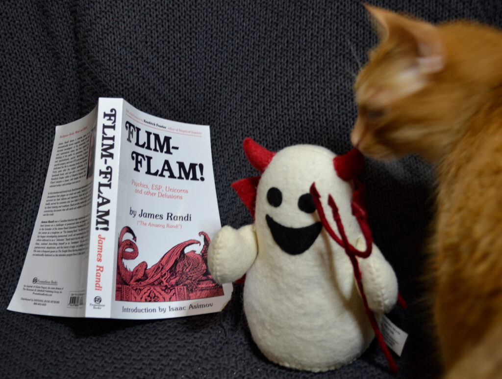 A copy of Flim-Flam! lies open beside a stuffed ghost figure and a blurry orange tabby.