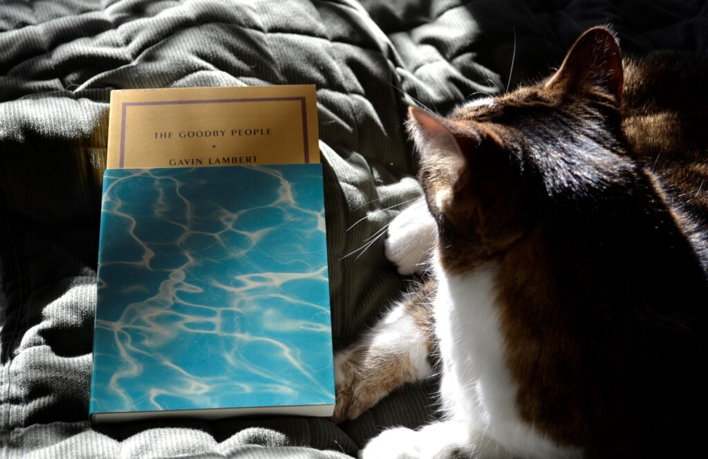 The yellow top of The Goodby People is visible above the aqua dust jacket. A tabby cat lies beside it.