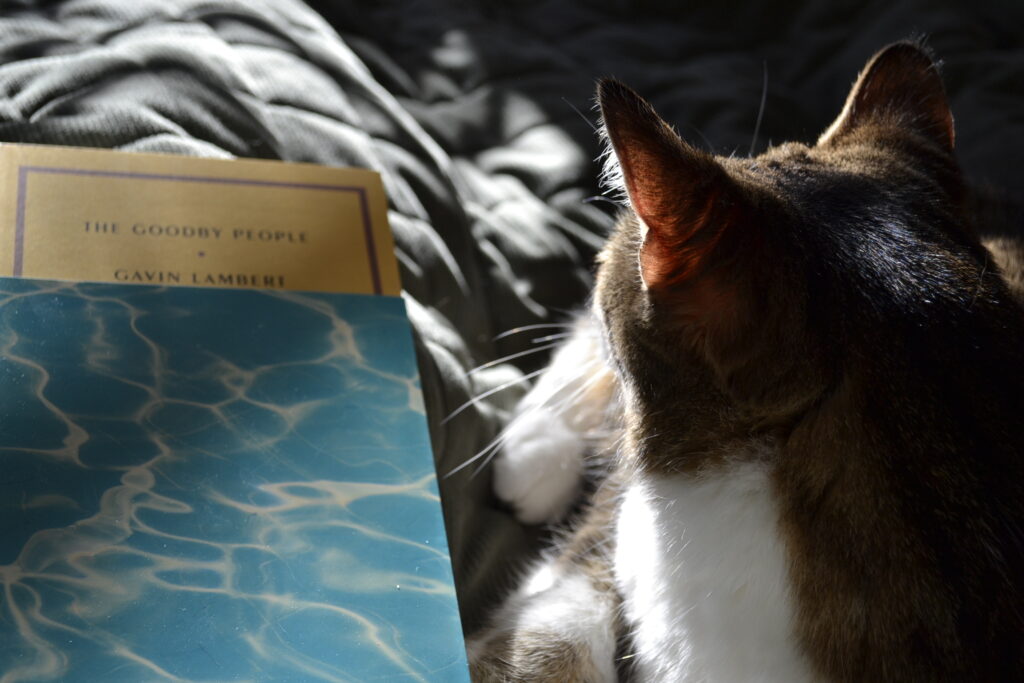 A tabby cat looks away from the camera. A yellow book with a blue dust jacket lies beside her.