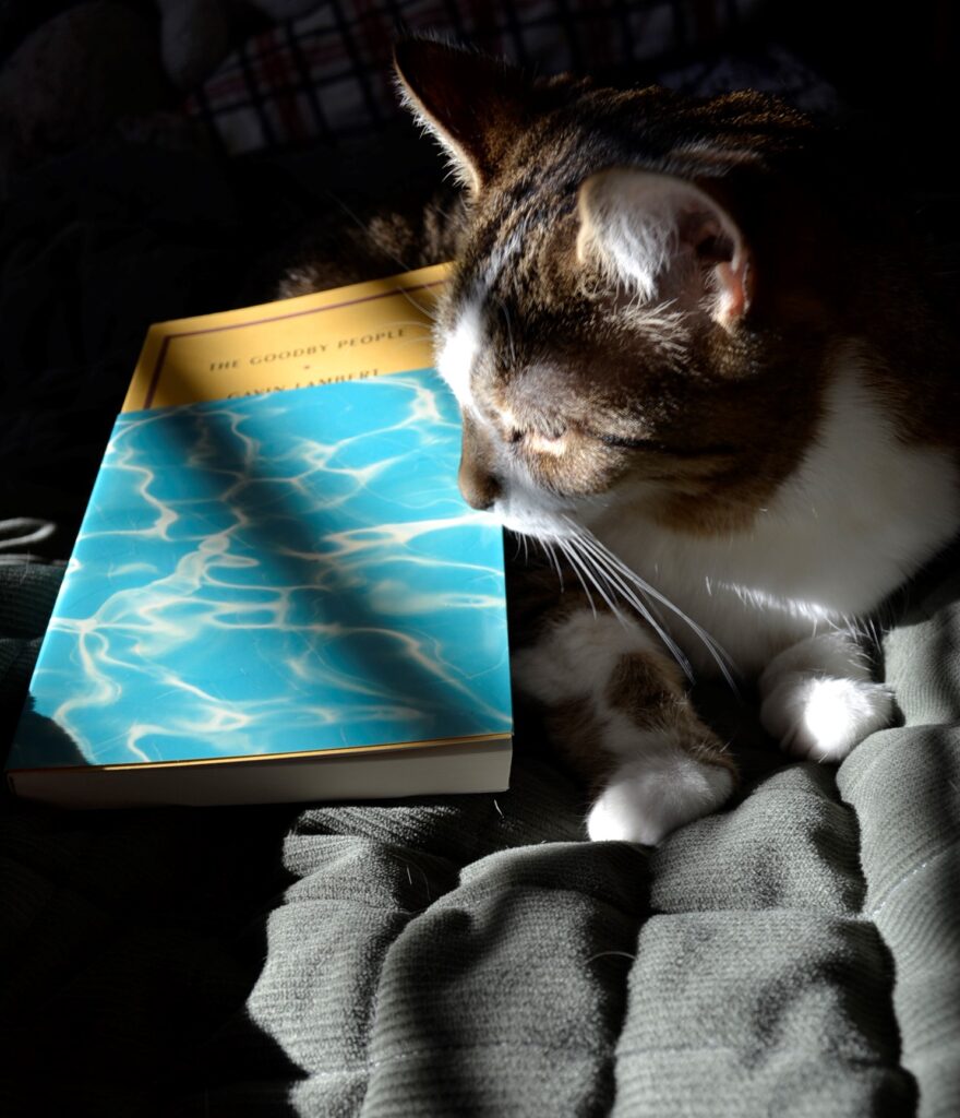 In a beam of sunlight, a tabby cat squints at a copy of The Goodby People.