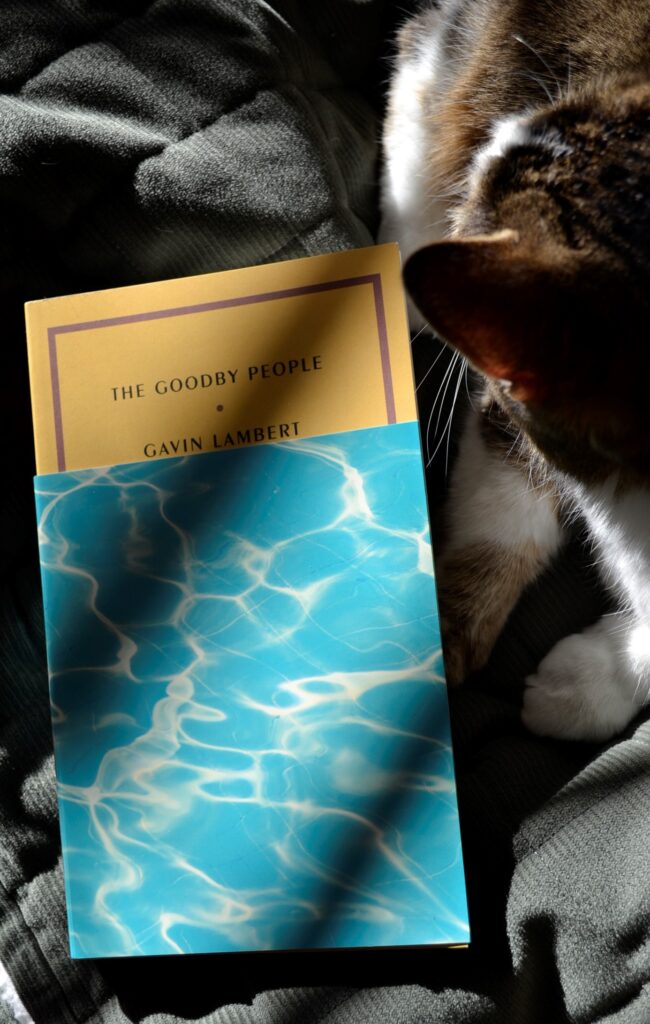 A tabby cat lounges beside The Goodby People. The book has a dust jacket of aqua blue that is only three-quarters high.