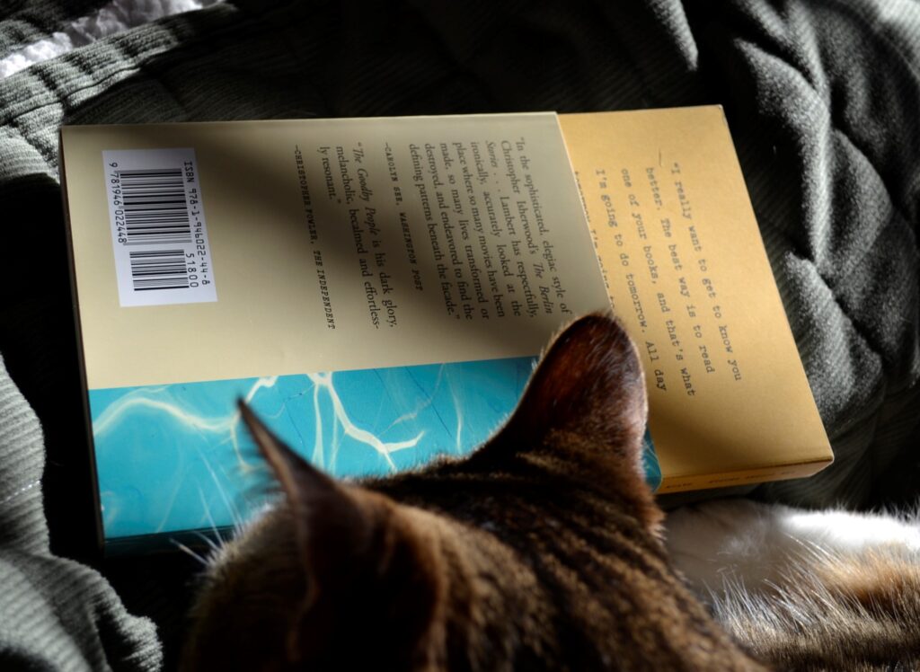 The back of The Goodby People. A tabby cat's ears obscured part of the book.