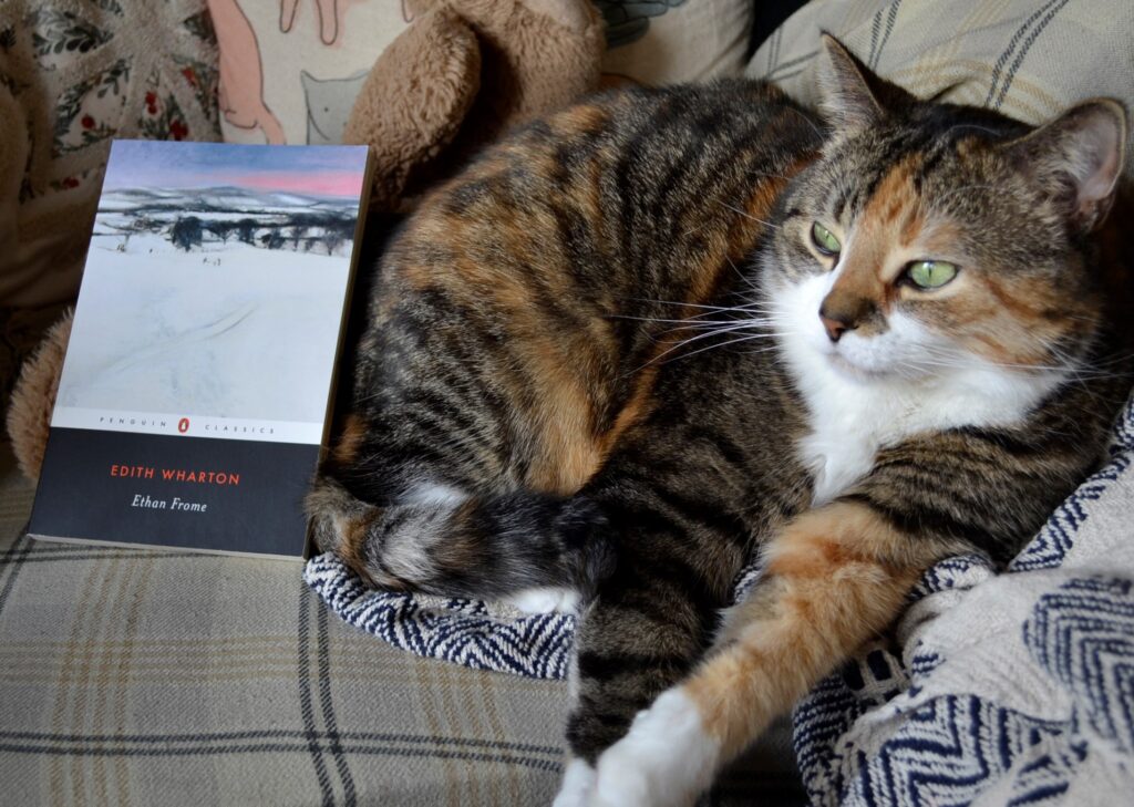 A calico tabby cat lounges on a pile of blankets next to a copy of Ethan Frome.