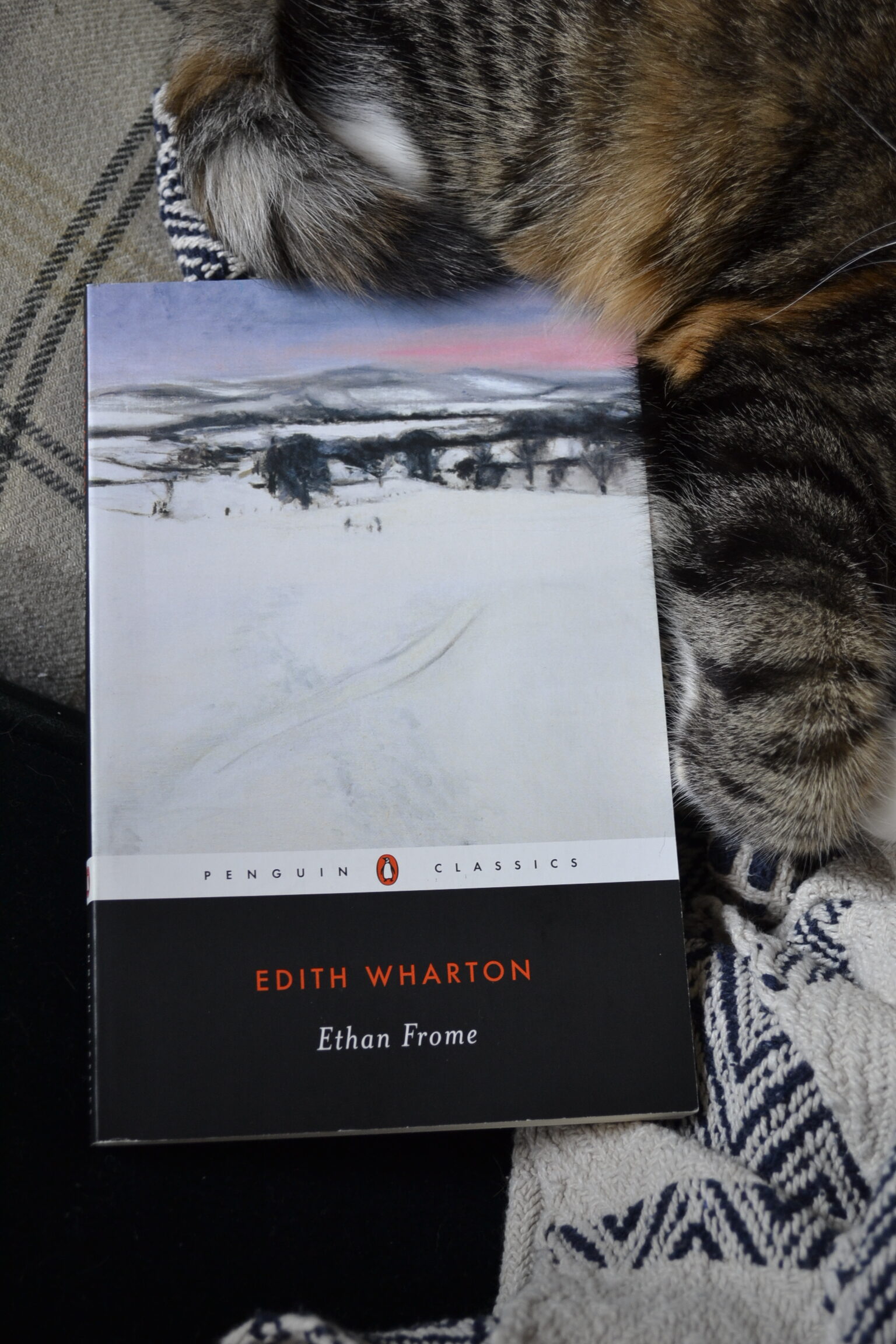 Edith Wharton's Edith Frome sits on a chair with a calico tabby cat.