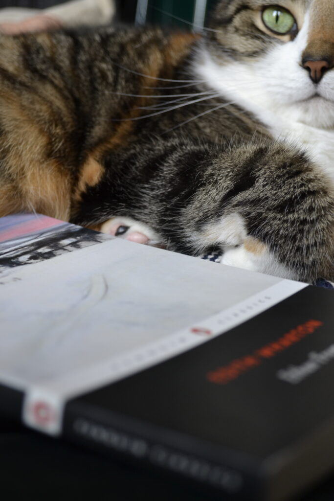 A calico tabby can lifts her nose over a book. The pastel pink and blues of the cover complement the cat's pale green eyes.