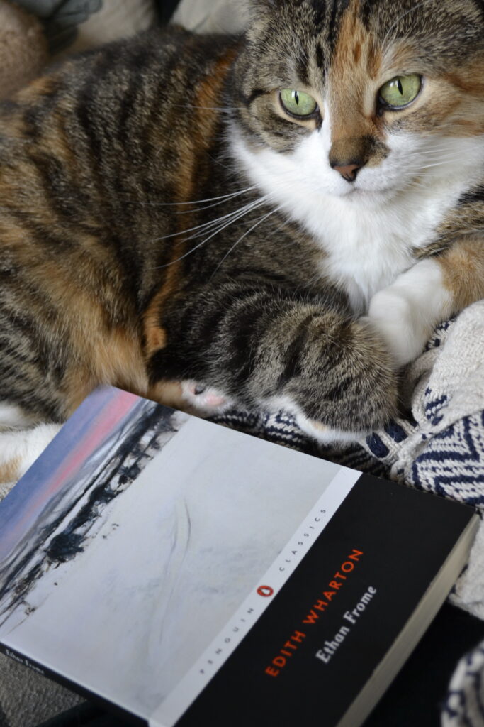A calico tabby sits beside a copy of Ethan Frome by Edith Wharton.