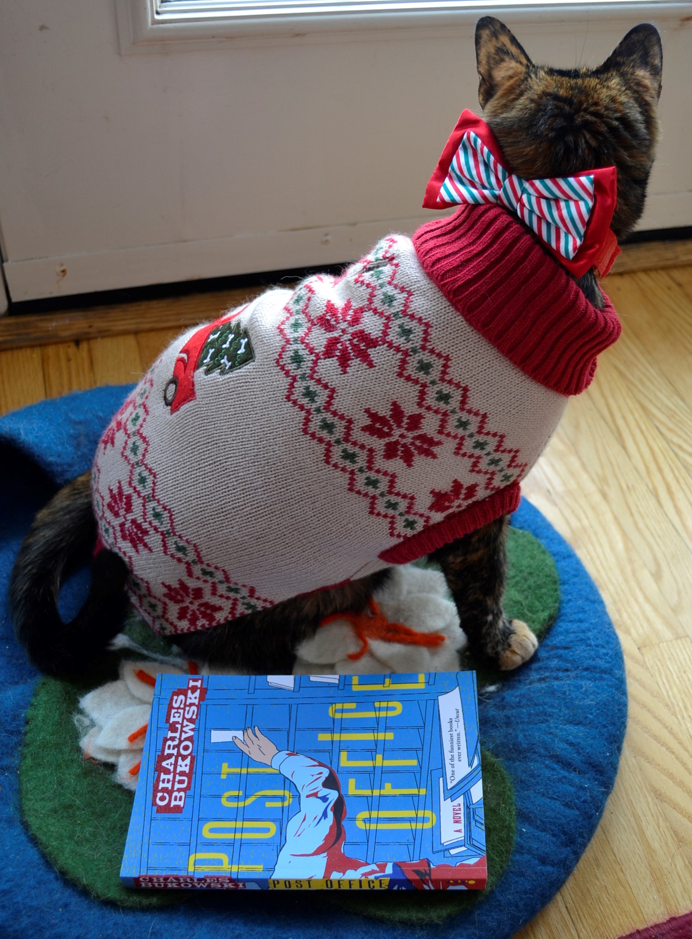 A cat in a weater and bow looks out a window. Beside her, a copy of Post Office with a blue cover sits on the ground.
