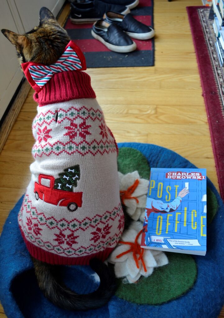 A tortoiseshell cat sits nicely beside a book. The cat is wearing a bow on her collar and a festive little sweater.