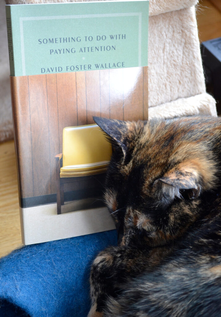 A tortoiseshell cat sleeps curled up in front of Something To Do with Paying Attention. The book has a three-quarter dust jacket with a yellow chair on it.