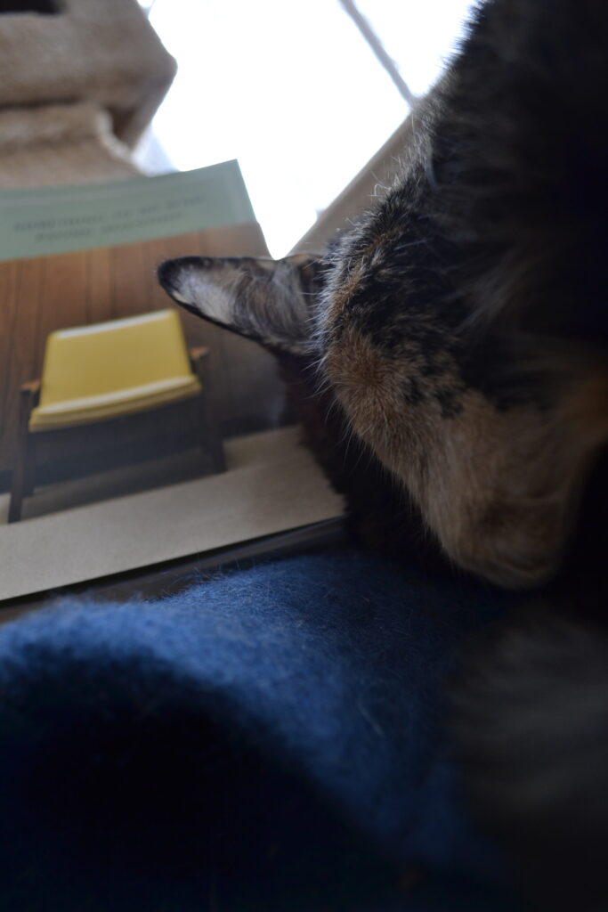 A tortoiseshell cat covers her face with a paw in front of a book.