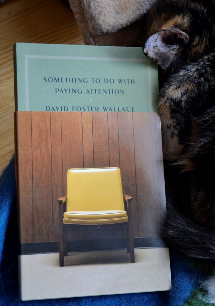 David Foster Wallace's Something to do with Paying Attention has a green cover. It is mostly covered by a dust jacket featuring a yellow chair.