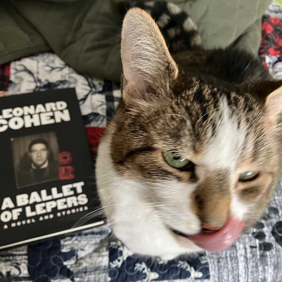 A blurry photo of a tabby licking her nose with a cool frown. A book is in the background.