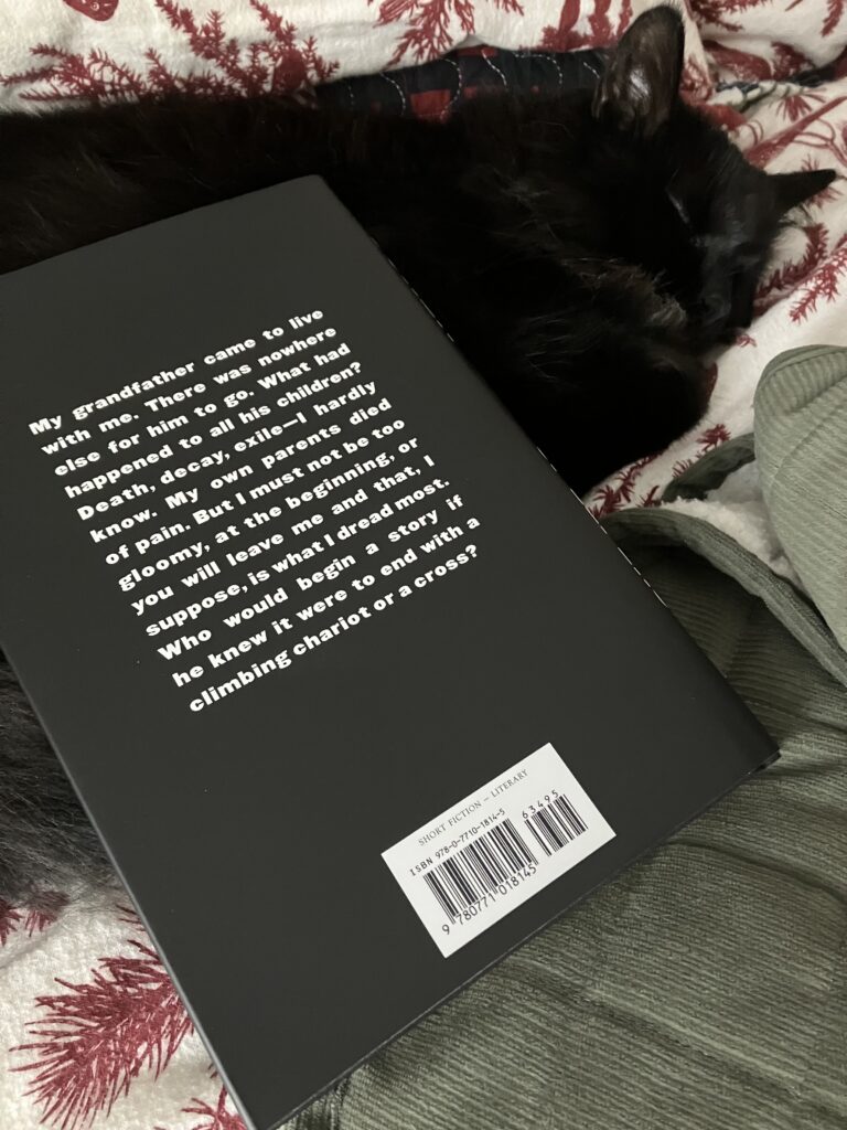 A black fluffy cat sleeps beneath a black book with white block letters. The back of the book is up.