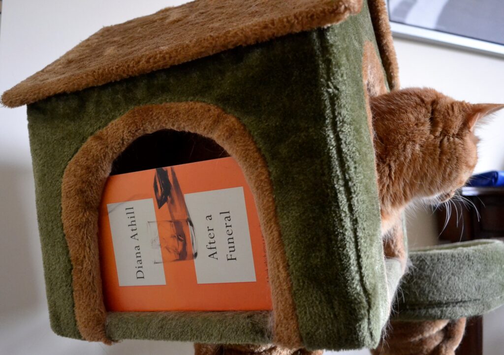 A box-room on a cat tree has an orange cat looking out one door and an orange book on the other door.